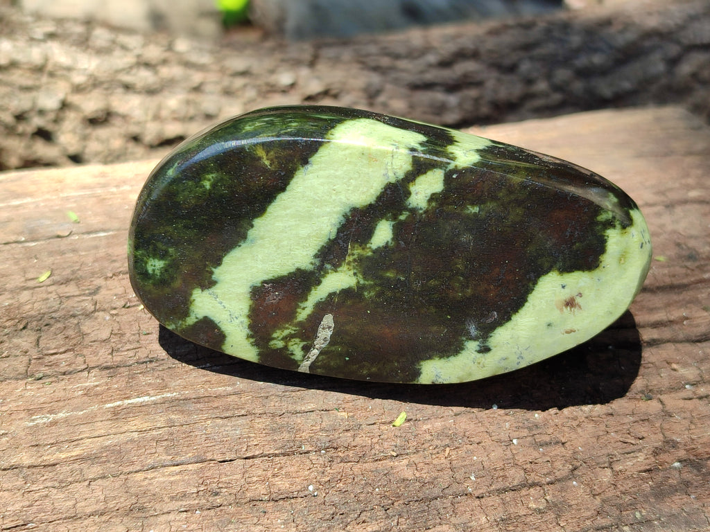 Polished Leopard Stone Free Forms x 5 From Nyanga, Zimbabwe - Toprock Gemstones and Minerals 