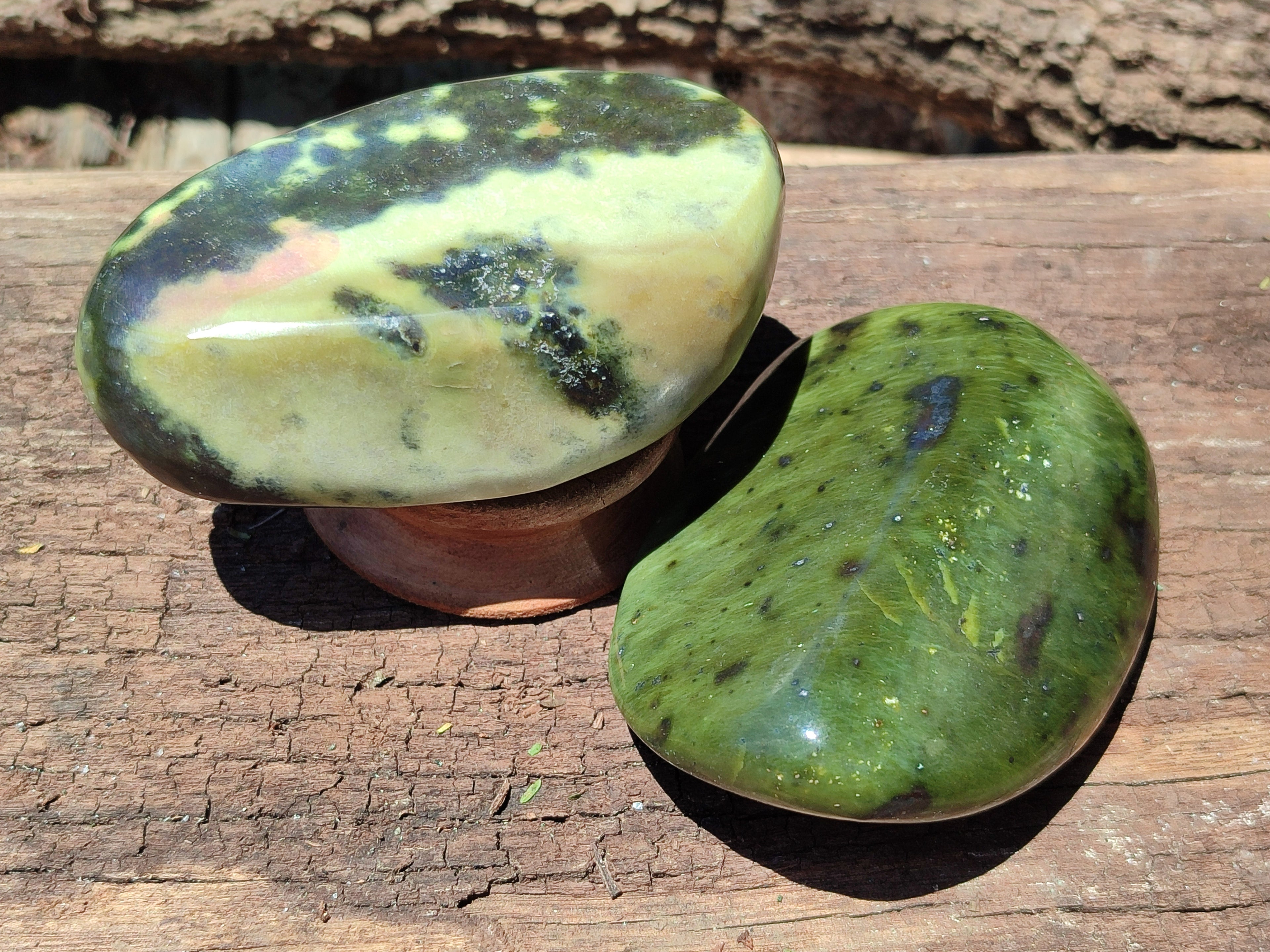 Polished Leopard Stone Free Forms x 5 From Nyanga, Zimbabwe - Toprock Gemstones and Minerals 