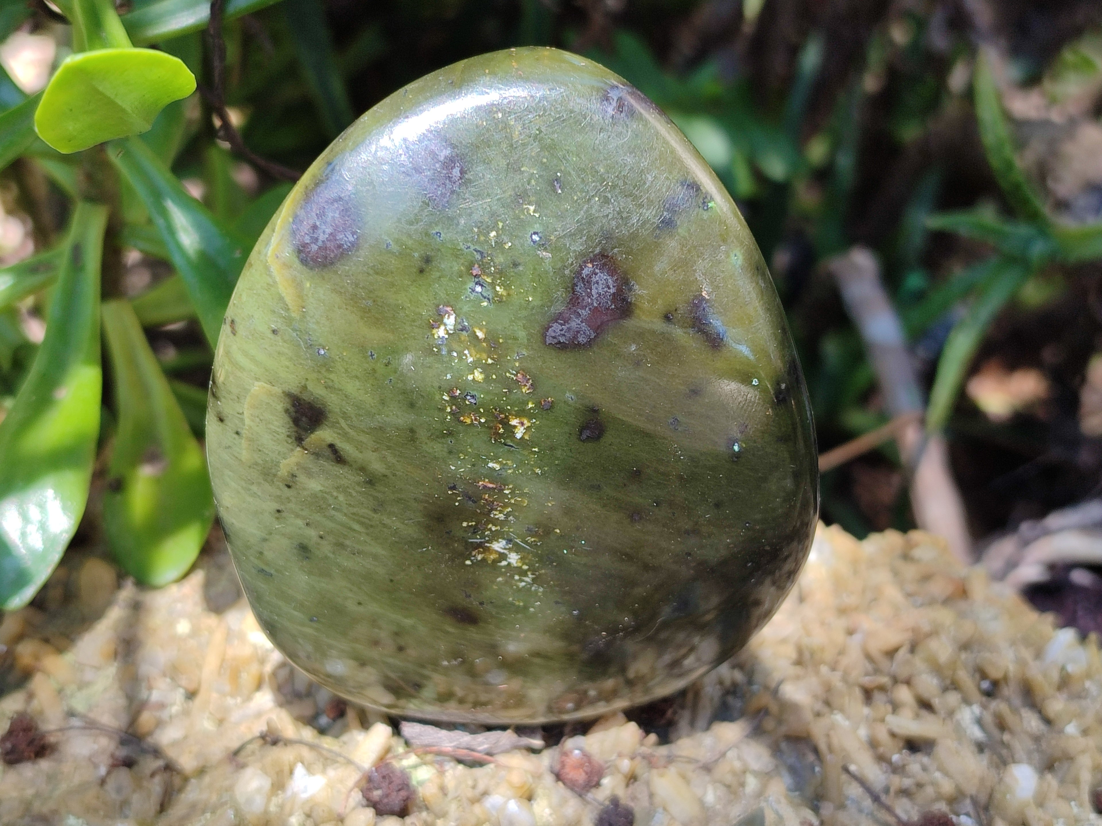 Polished Leopard Stone Free Forms x 5 From Nyanga, Zimbabwe - Toprock Gemstones and Minerals 