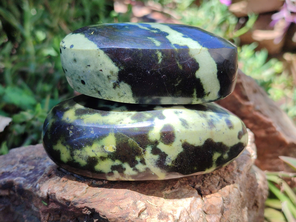 Polished Leopard Stone Free Forms x 5 From Nyanga, Zimbabwe - Toprock Gemstones and Minerals 