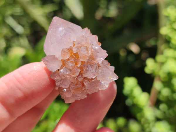 Natural Amethyst Spirit Quartz Crystals x 70 From Boekenhouthoek, South Africa