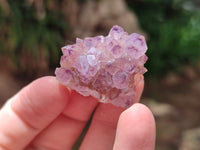 Natural Amethyst Spirit Quartz Crystals x 70 From Boekenhouthoek, South Africa