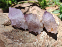 Natural Amethyst Spirit Quartz Crystals x 70 From Boekenhouthoek, South Africa