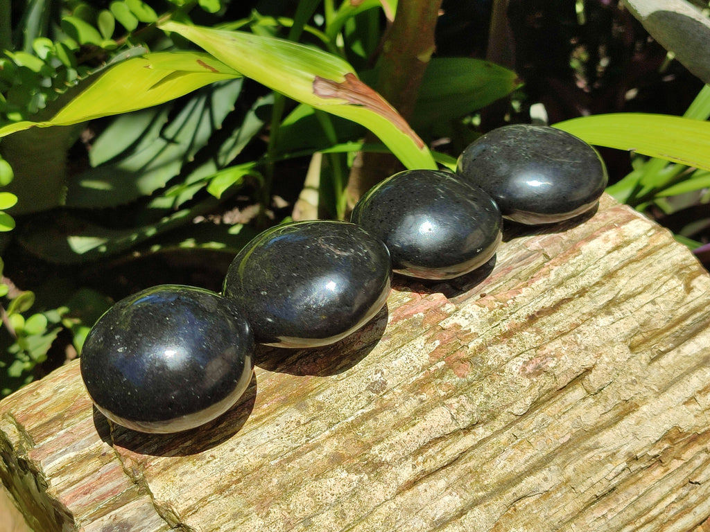Polished Black Basalt Palm Stones x 12 From Antsirabe, Madagascar - Toprock Gemstones and Minerals 