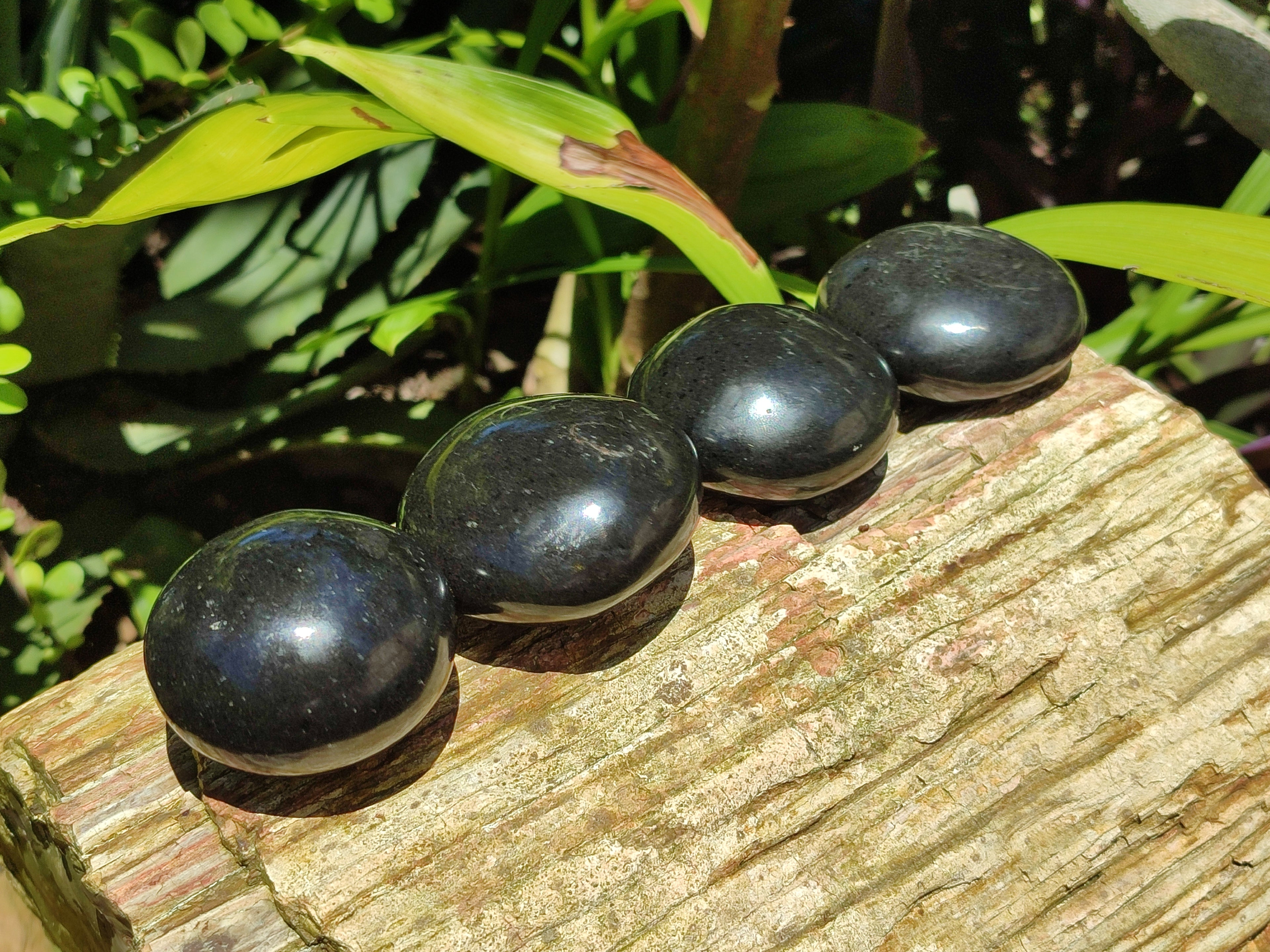Polished Black Basalt Palm Stones x 12 From Antsirabe, Madagascar - Toprock Gemstones and Minerals 