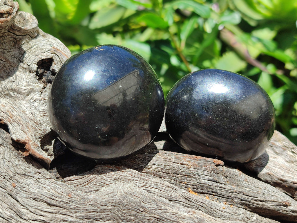 Polished Black Basalt Palm Stones x 12 From Antsirabe, Madagascar - Toprock Gemstones and Minerals 