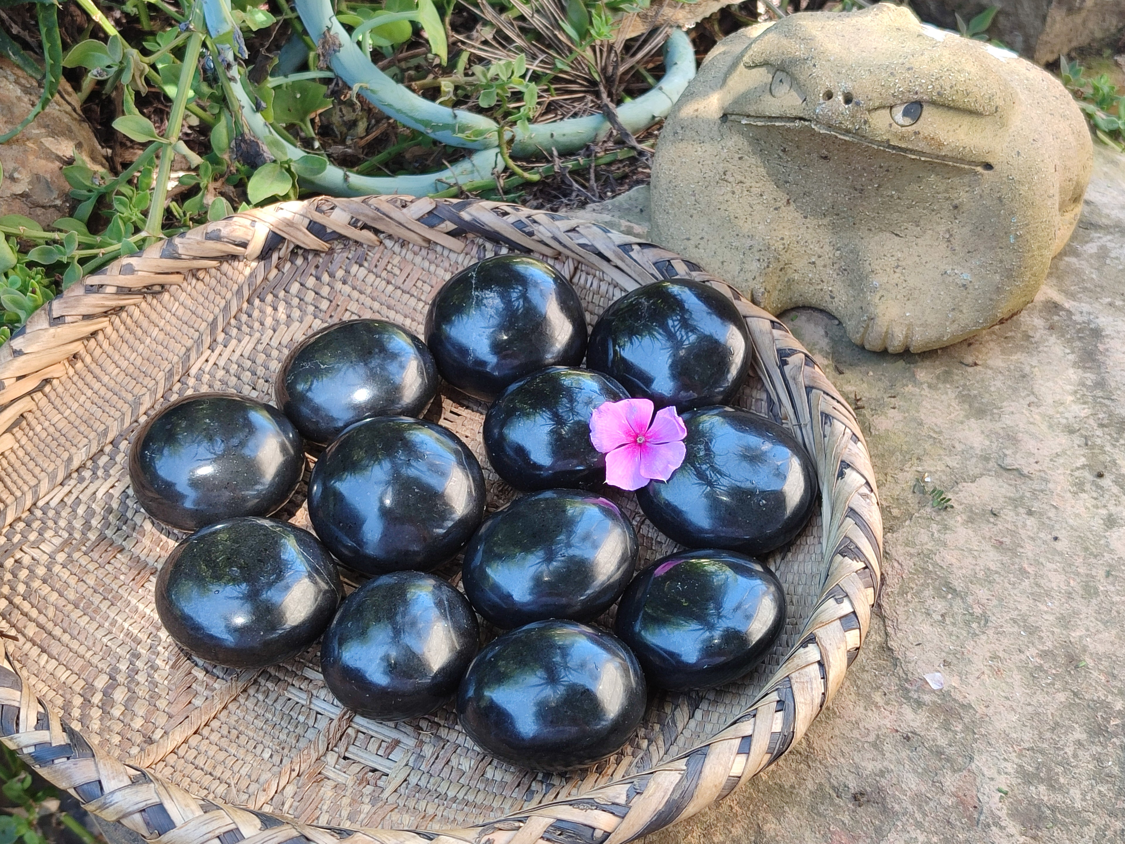 Polished Black Basalt Palm Stones x 12 From Antsirabe, Madagascar - Toprock Gemstones and Minerals 