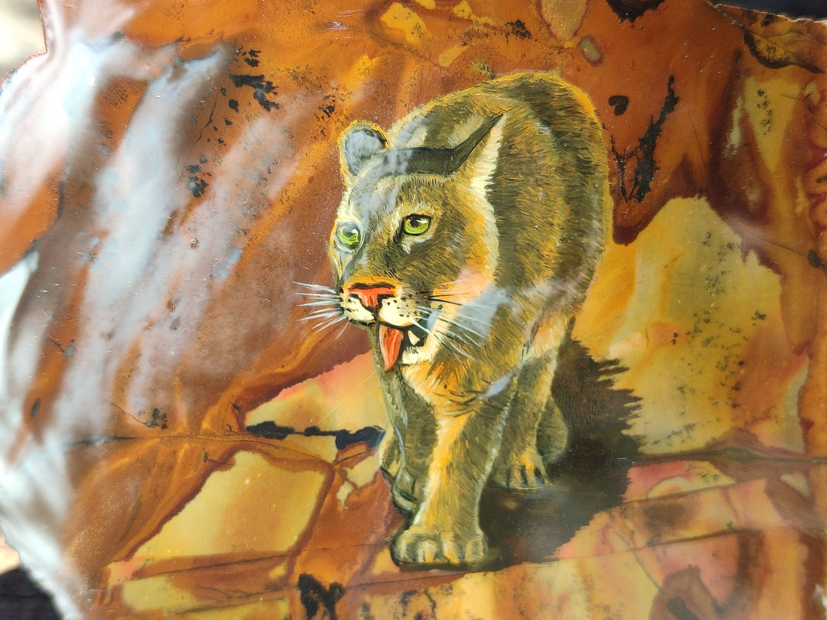 Hand Made Animal Decoupage Stone Slabs x 3 From Southern Africa - Toprock Gemstones and Minerals 