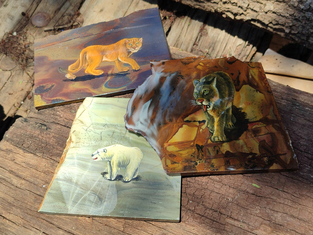 Hand Made Animal Decoupage Stone Slabs x 3 From Southern Africa - Toprock Gemstones and Minerals 
