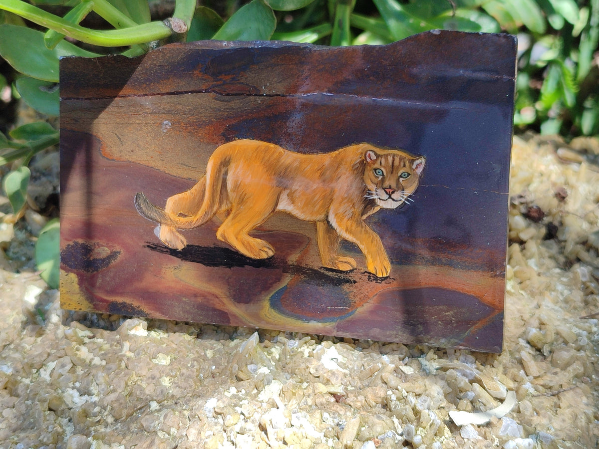 Hand Made Animal Decoupage Stone Slabs x 3 From Southern Africa - Toprock Gemstones and Minerals 