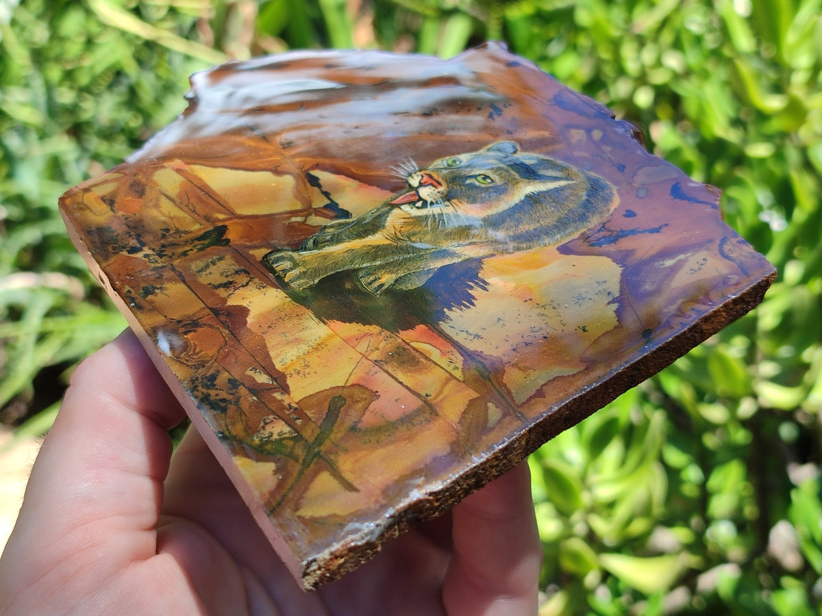 Hand Made Animal Decoupage Stone Slabs x 3 From Southern Africa - Toprock Gemstones and Minerals 