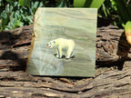 Hand Made Animal Decoupage Stone Slabs x 3 From Southern Africa - Toprock Gemstones and Minerals 