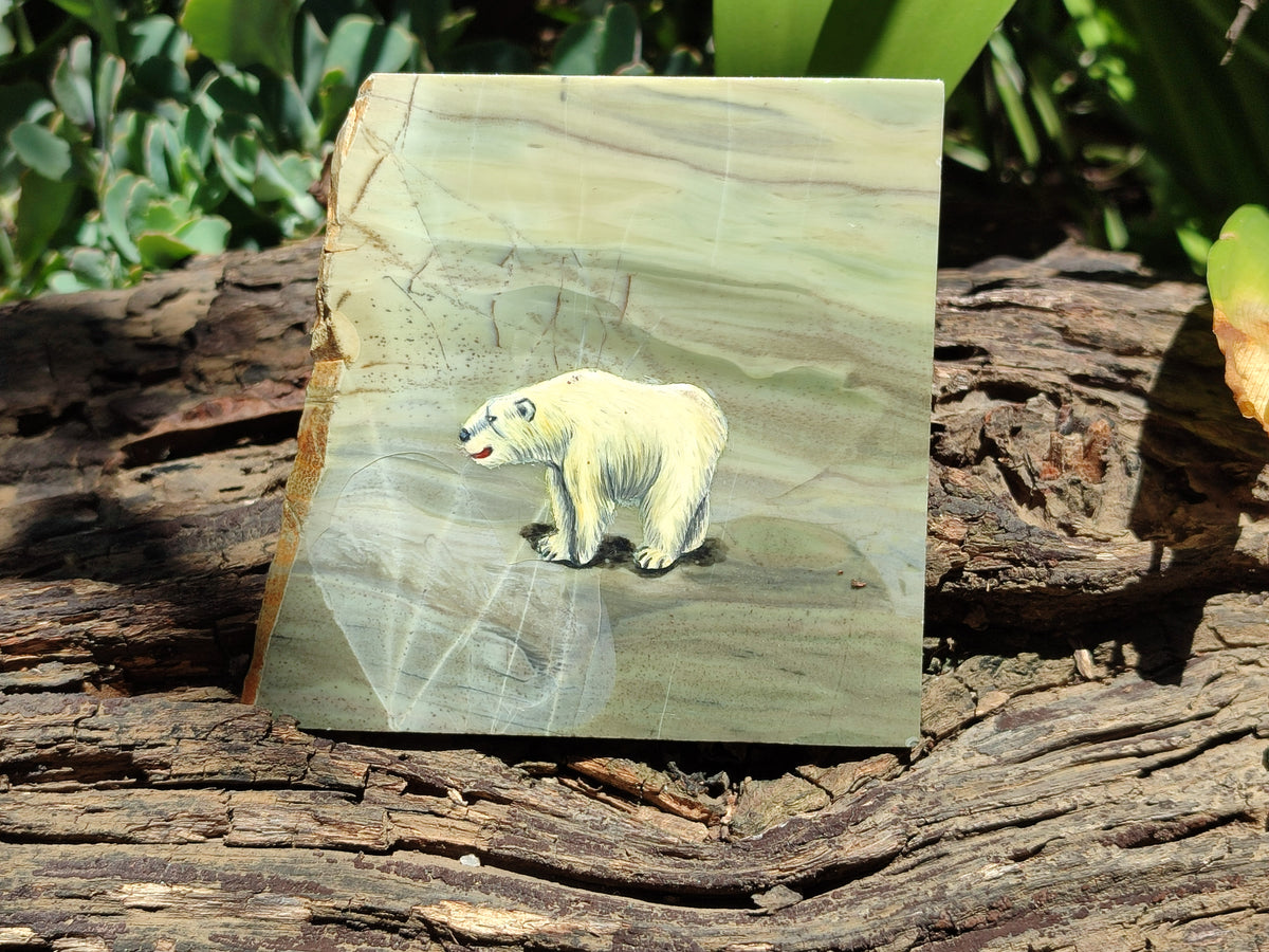 Hand Made Animal Decoupage Stone Slabs x 3 From Southern Africa - Toprock Gemstones and Minerals 