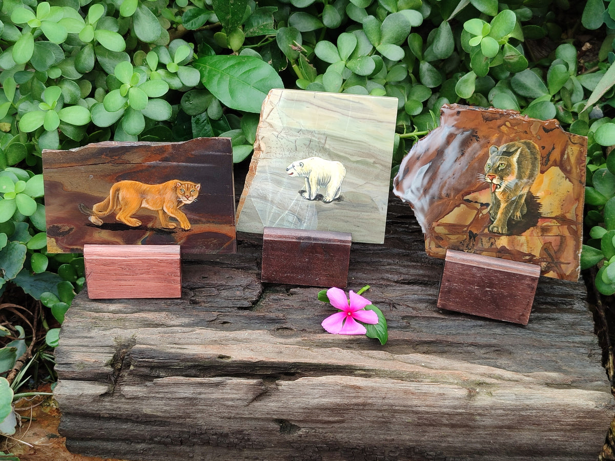 Hand Made Animal Decoupage Stone Slabs x 3 From Southern Africa - Toprock Gemstones and Minerals 