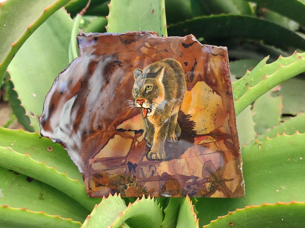 Hand Made Animal Decoupage Stone Slabs x 3 From Southern Africa - Toprock Gemstones and Minerals 