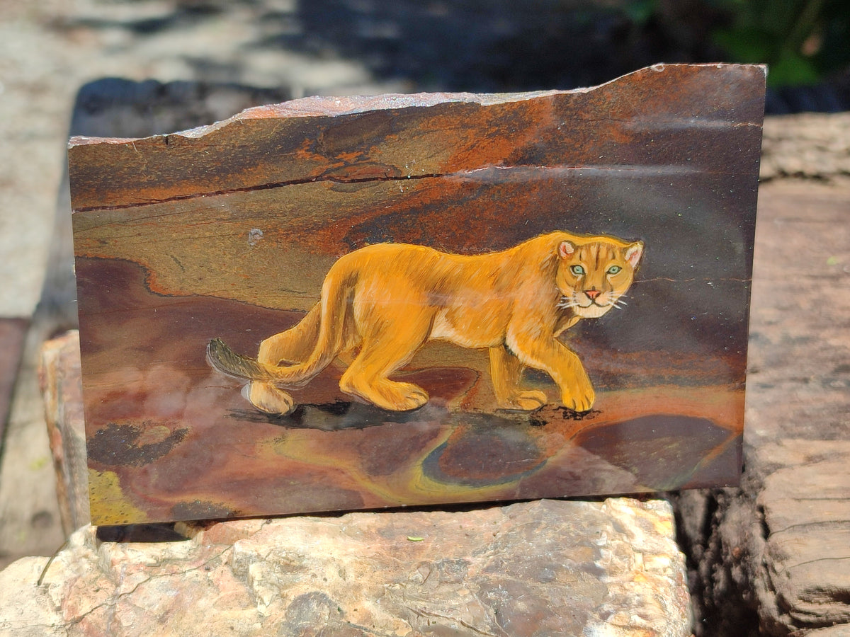 Hand Made Animal Decoupage Stone Slabs x 3 From Southern Africa - Toprock Gemstones and Minerals 
