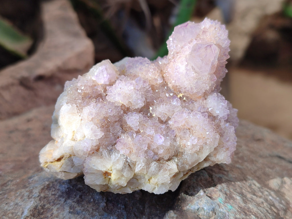 Natural Amethyst Spirit Quartz Clusters x 6 From Boekenhouthoek, South Africa - Toprock Gemstones and Minerals 