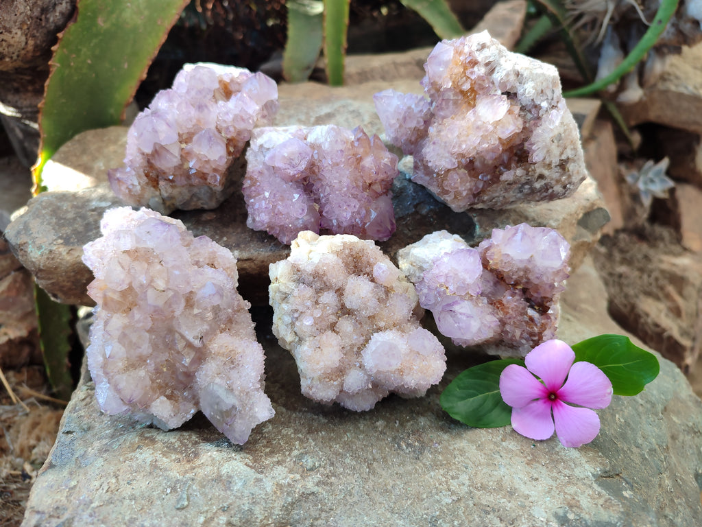Natural Amethyst Spirit Quartz Clusters x 6 From Boekenhouthoek, South Africa - Toprock Gemstones and Minerals 
