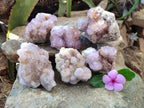 Natural Amethyst Spirit Quartz Clusters x 6 From Boekenhouthoek, South Africa - Toprock Gemstones and Minerals 