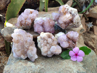 Natural Amethyst Spirit Quartz Clusters x 6 From Boekenhouthoek, South Africa - Toprock Gemstones and Minerals 