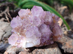 Natural Amethyst Spirit Quartz Clusters x 6 From Boekenhouthoek, South Africa - Toprock Gemstones and Minerals 