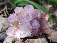 Natural Amethyst Spirit Quartz Clusters x 6 From Boekenhouthoek, South Africa - Toprock Gemstones and Minerals 