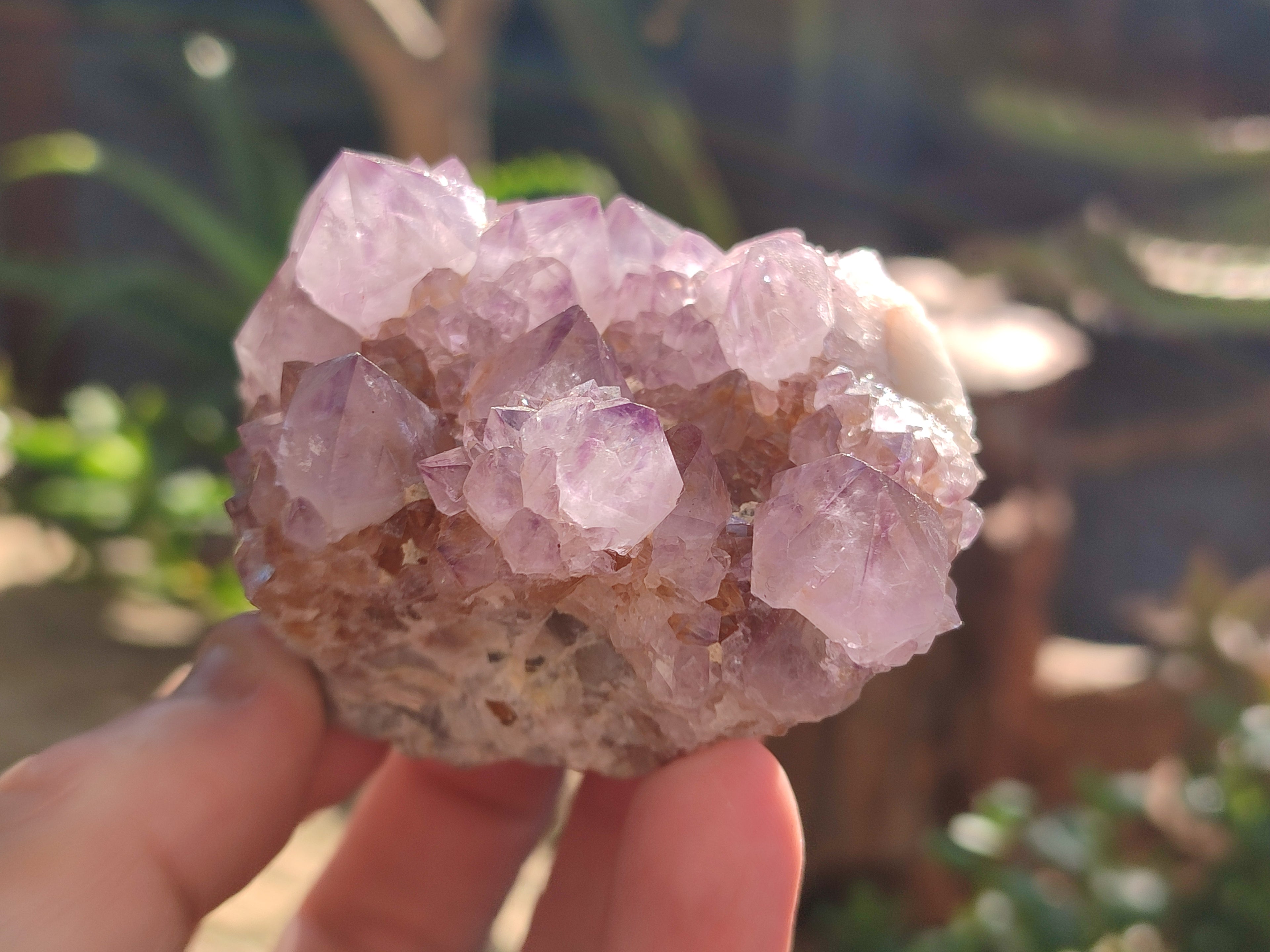 Natural Amethyst Spirit Quartz Clusters x 6 From Boekenhouthoek, South Africa - Toprock Gemstones and Minerals 