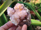 Natural Amethyst Spirit Quartz Clusters x 6 From Boekenhouthoek, South Africa - Toprock Gemstones and Minerals 