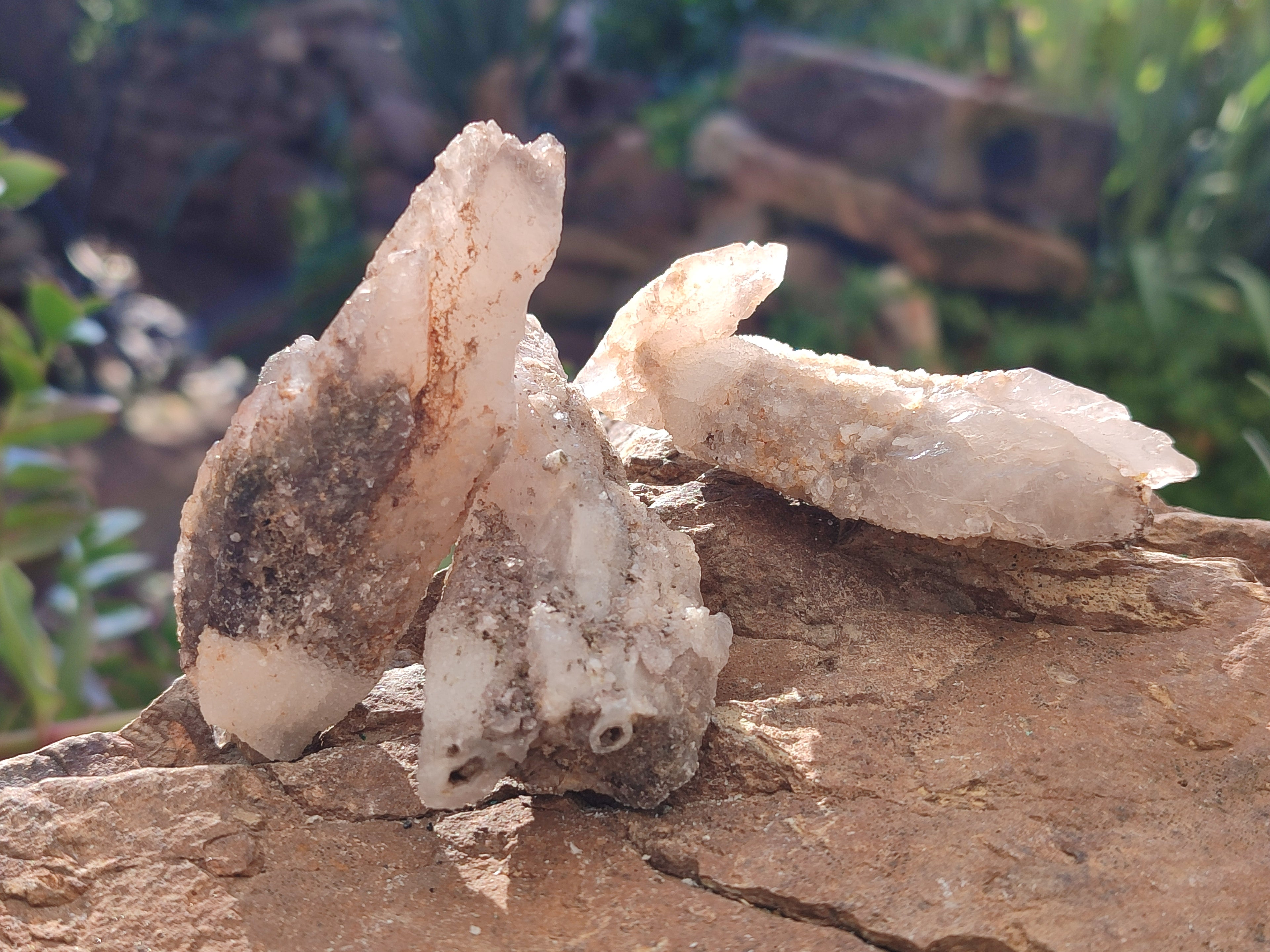 Natural Drusy Quartz Coated Calcite Pseudomorph Specimens x 12 From Alberts Mountain, Lesotho - Toprock Gemstones and Minerals 