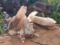 Natural Drusy Quartz Coated Calcite Pseudomorph Specimens x 12 From Alberts Mountain, Lesotho - Toprock Gemstones and Minerals 