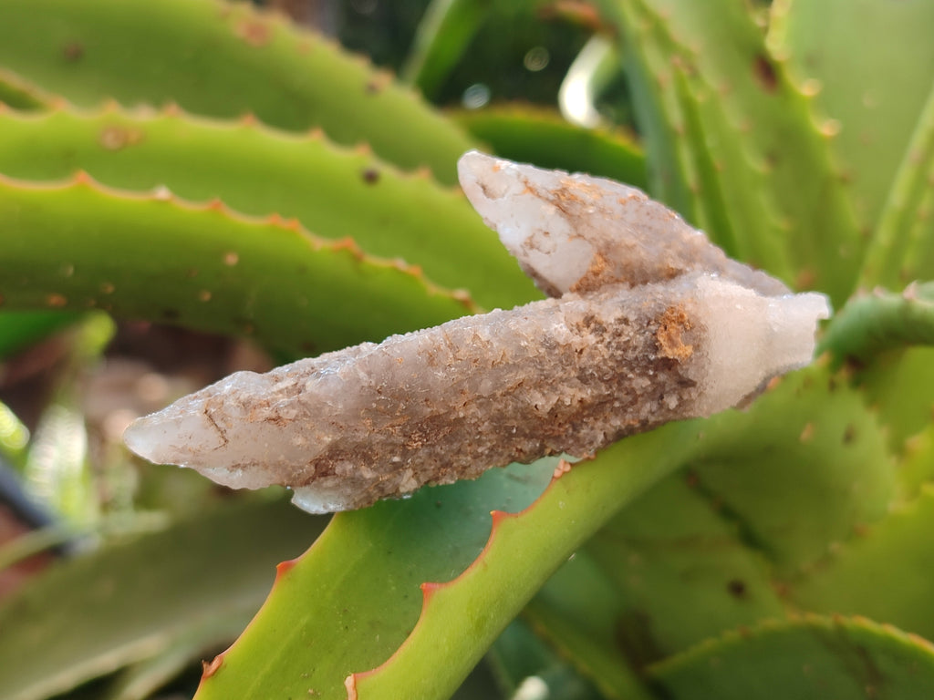 Natural Drusy Quartz Coated Calcite Pseudomorph Specimens x 12 From Alberts Mountain, Lesotho - Toprock Gemstones and Minerals 