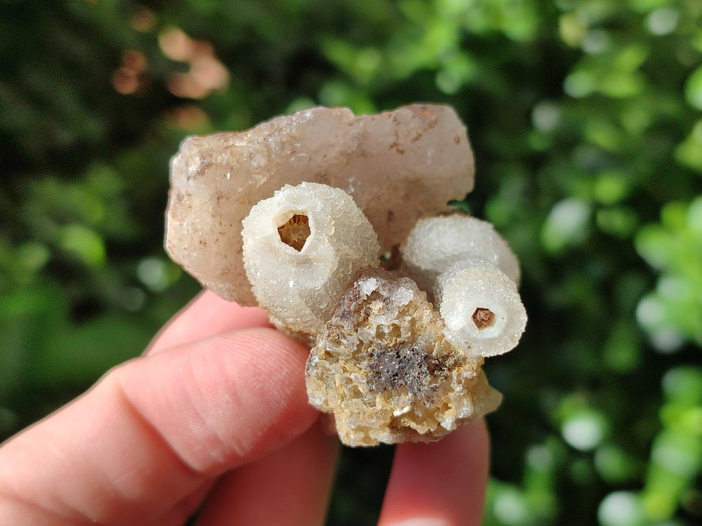 Natural Drusy Quartz Coated Calcite Pseudomorph Specimens x 12 From Alberts Mountain, Lesotho - Toprock Gemstones and Minerals 