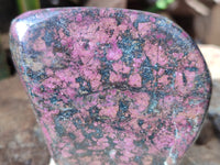 Polished Ruby Corundum In Chrome Verdite Standing Free Forms x 3 From Zimbabwe - Toprock Gemstones and Minerals 