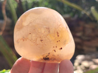 Polished Flower Agate Palm Stones x 12 From Antsahalova, Madagascar - Toprock Gemstones and Minerals 