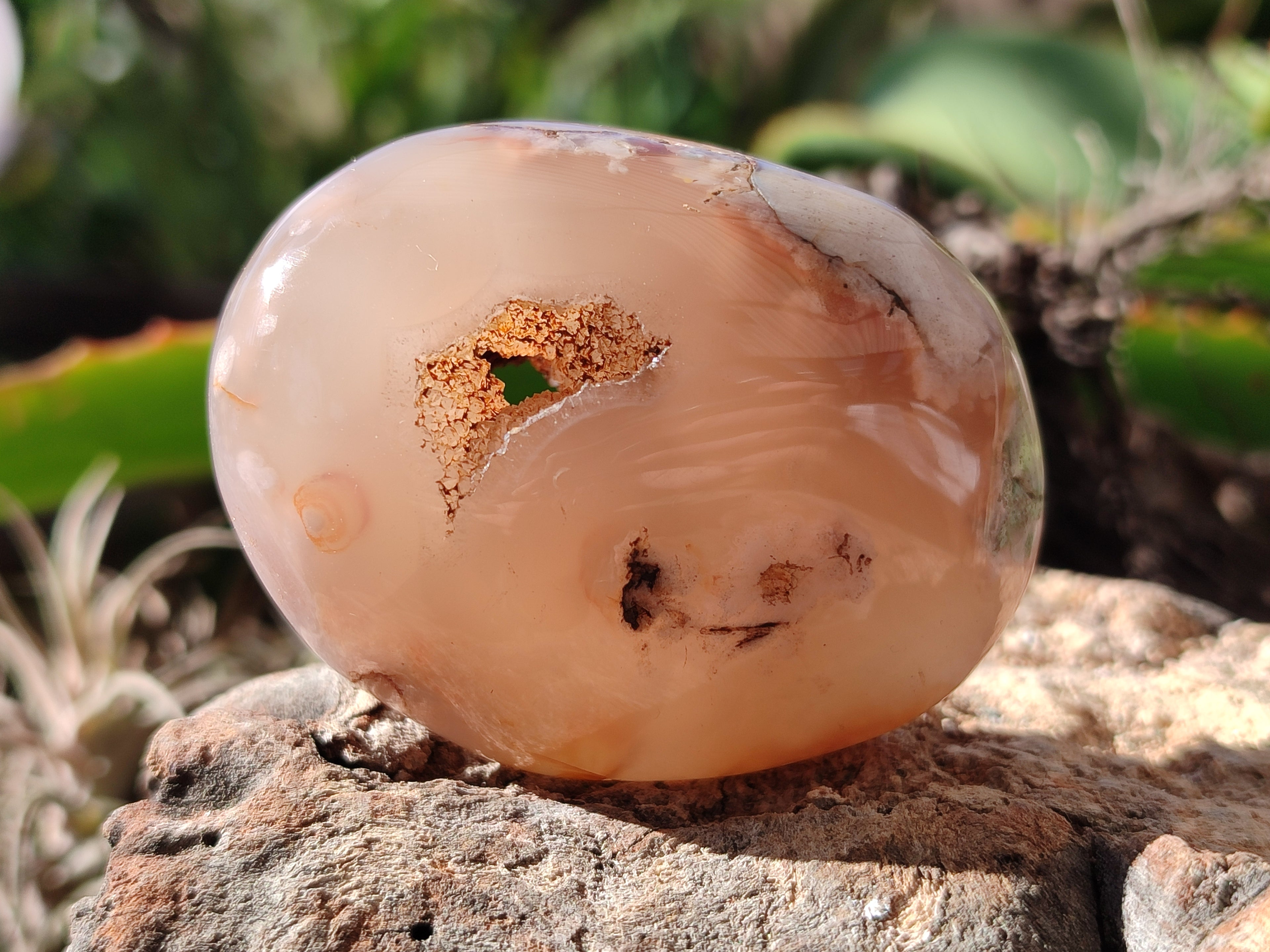 Polished Flower Agate Palm Stones x 12 From Antsahalova, Madagascar - Toprock Gemstones and Minerals 