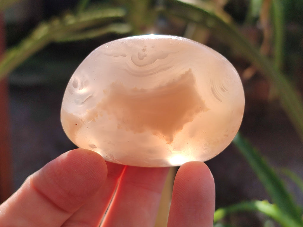 Polished Flower Agate Palm Stones x 12 From Antsahalova, Madagascar - Toprock Gemstones and Minerals 