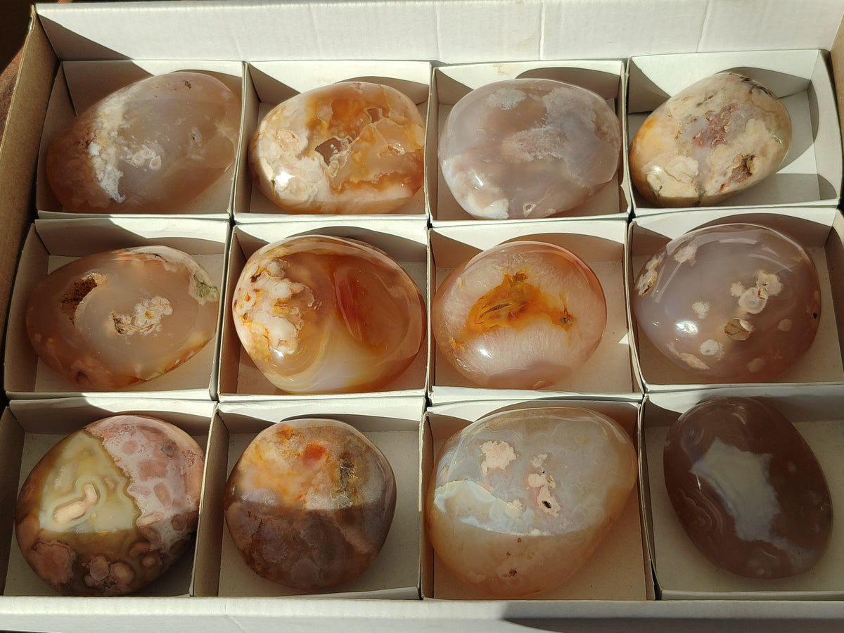 Polished Flower Agate Palm Stones x 12 From Antsahalova, Madagascar - Toprock Gemstones and Minerals 
