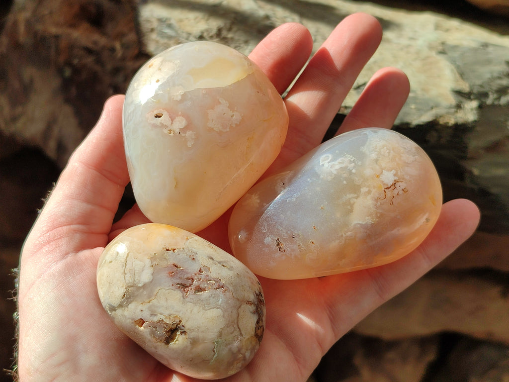 Polished Flower Agate Palm Stones x 12 From Antsahalova, Madagascar - Toprock Gemstones and Minerals 
