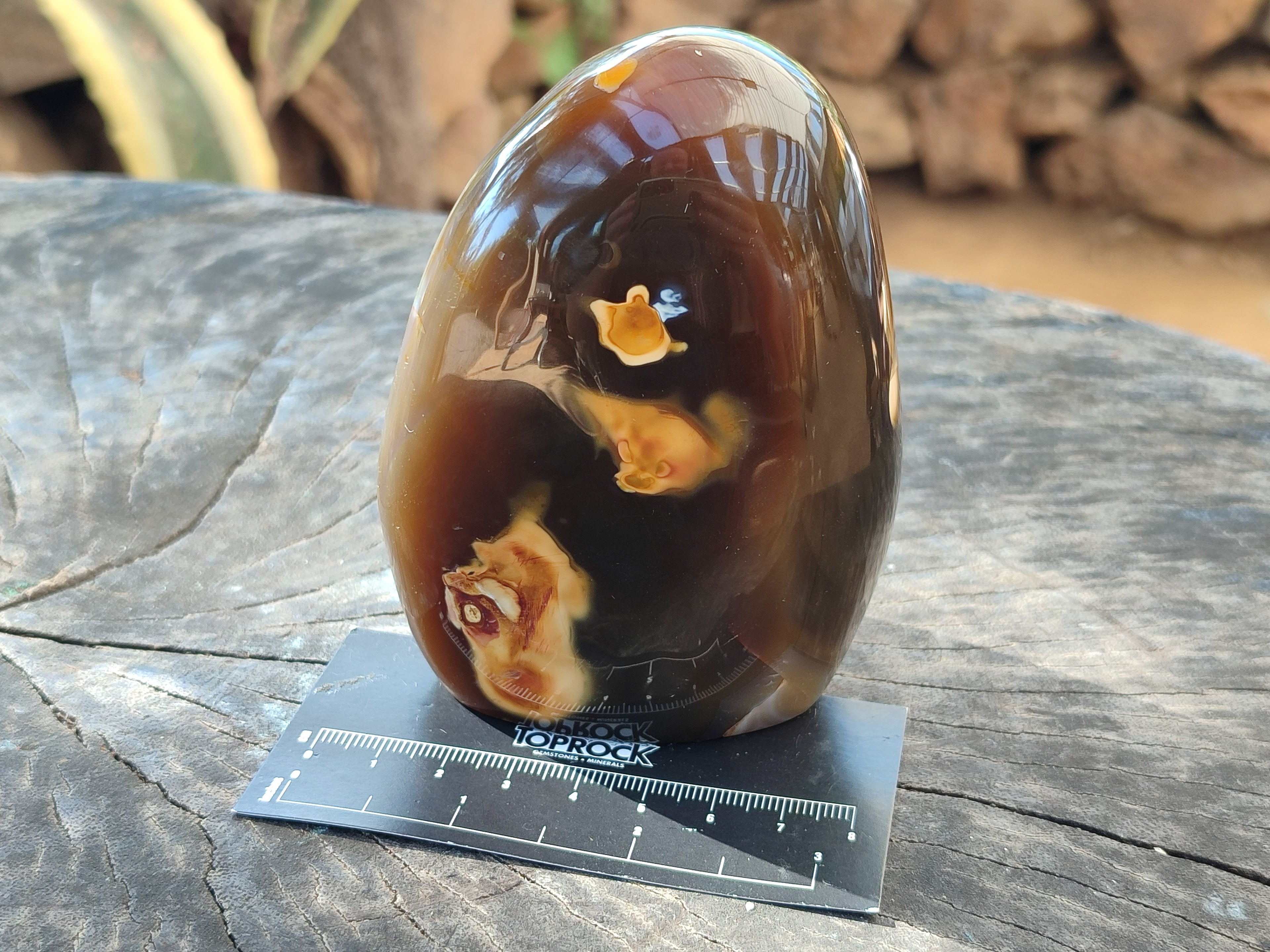 Polished Dendritic Agate Standing Free Forms x 4 From Madagascar - Toprock Gemstones and Minerals 