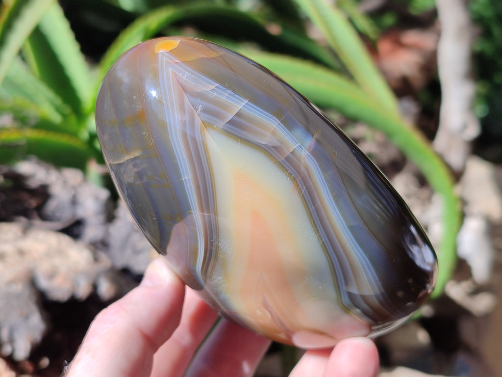 Polished Dendritic Agate Standing Free Forms x 4 From Madagascar - Toprock Gemstones and Minerals 