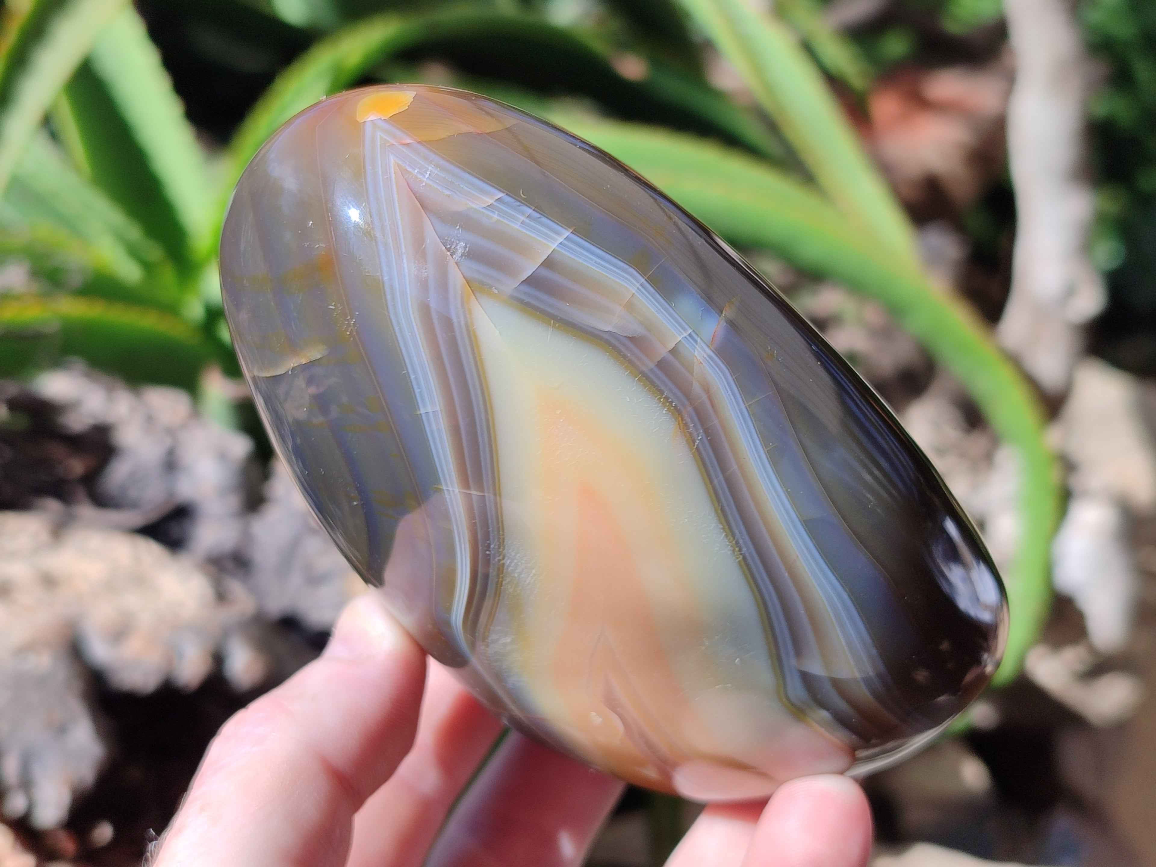 Polished Dendritic Agate Standing Free Forms x 4 From Madagascar - Toprock Gemstones and Minerals 