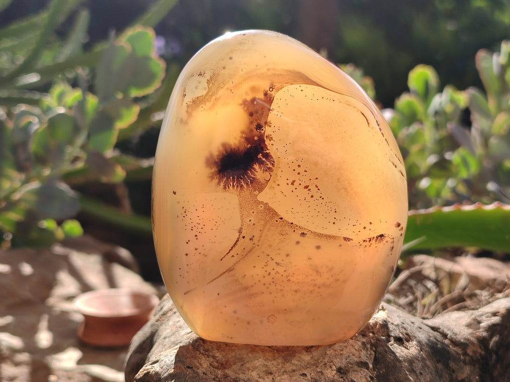 Polished Dendritic Agate Standing Free Forms x 4 From Madagascar - Toprock Gemstones and Minerals 