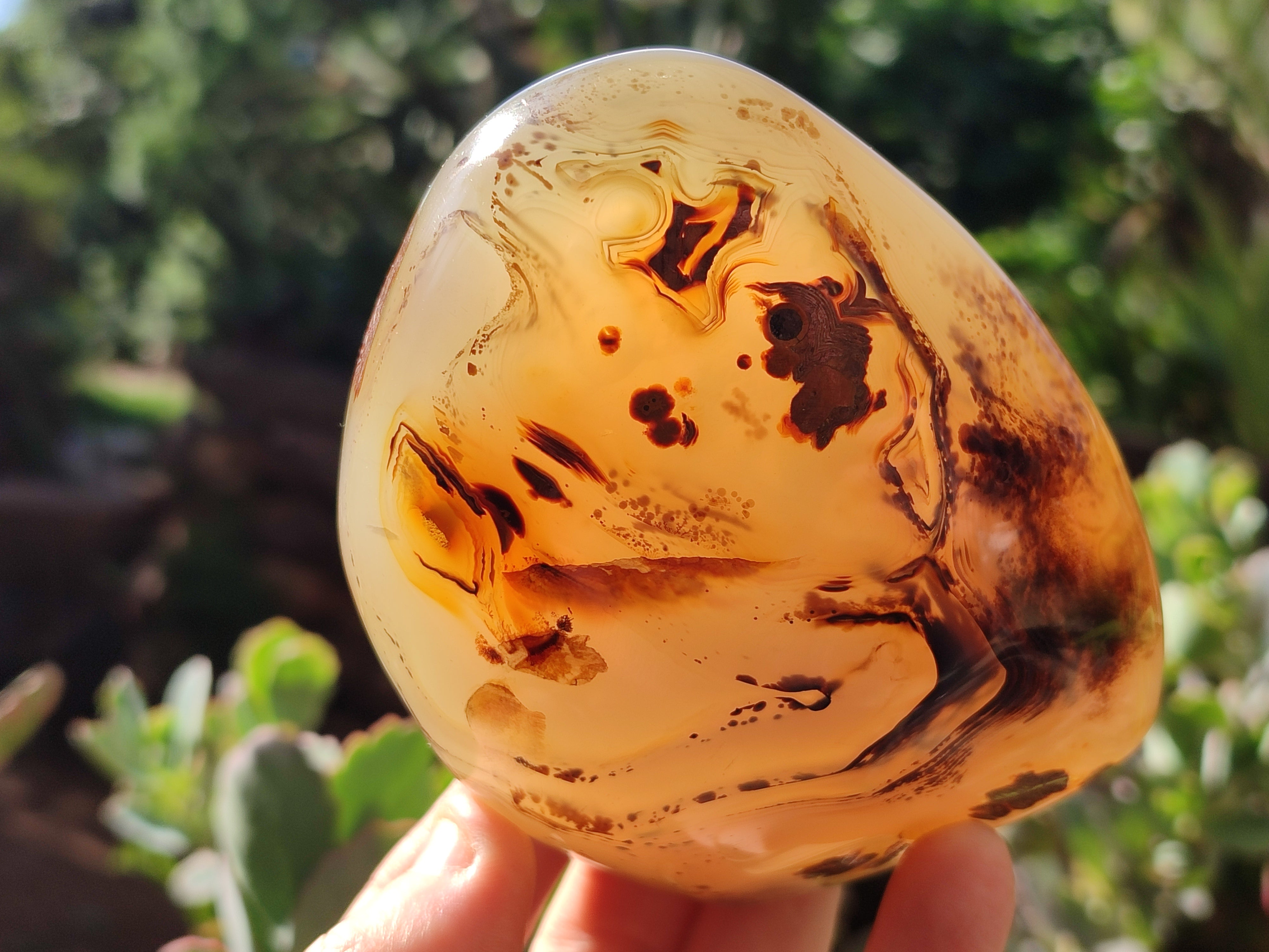 Polished Dendritic Agate Standing Free Forms x 4 From Madagascar ...