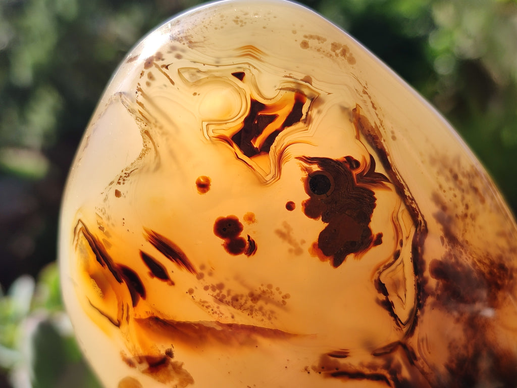 Polished Dendritic Agate Standing Free Forms x 4 From Madagascar - Toprock Gemstones and Minerals 