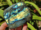 Polished Labradorite Standing Free Forms x 3 From Tulear, Madagascar - Toprock Gemstones and Minerals 