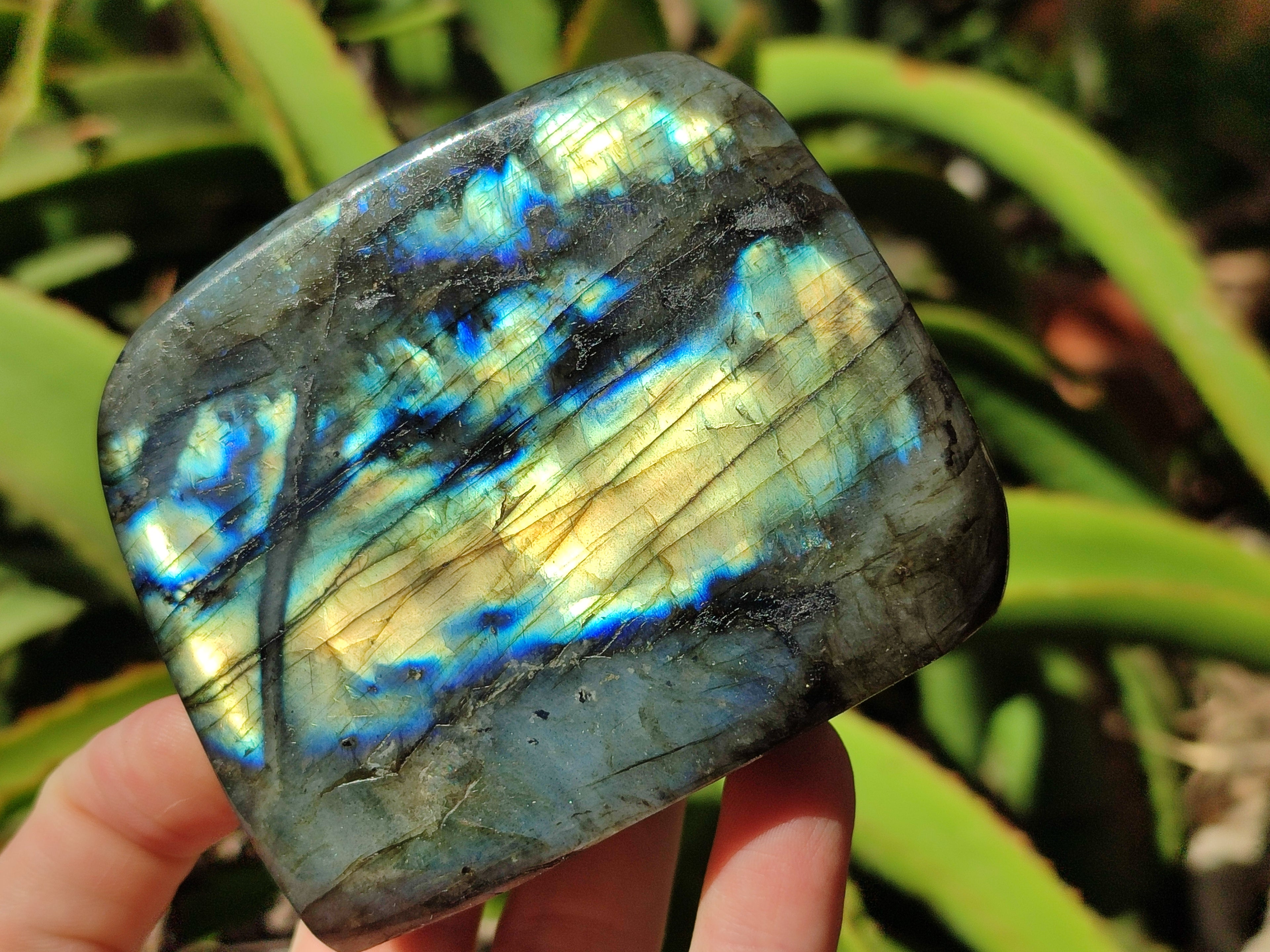 Polished Labradorite Standing Free Forms x 3 From Tulear, Madagascar - Toprock Gemstones and Minerals 