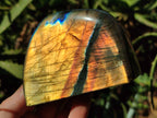 Polished Labradorite Standing Free Forms x 3 From Tulear, Madagascar - Toprock Gemstones and Minerals 