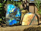 Polished Labradorite Standing Free Forms x 3 From Tulear, Madagascar - Toprock Gemstones and Minerals 