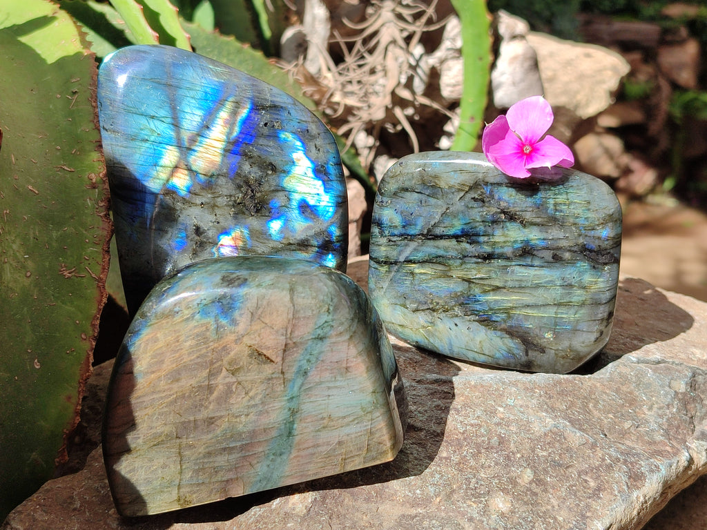 Polished Labradorite Standing Free Forms x 3 From Tulear, Madagascar - Toprock Gemstones and Minerals 