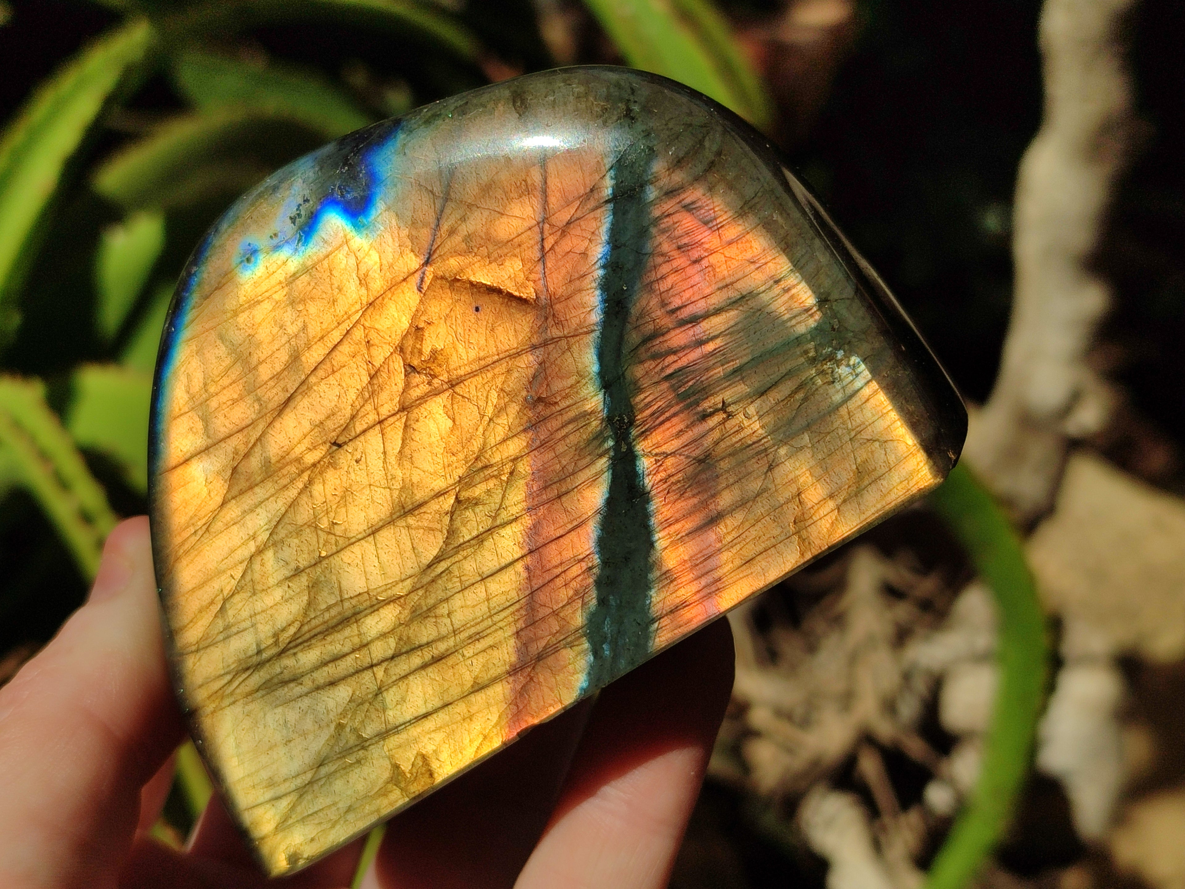 Polished Labradorite Standing Free Forms x 3 From Tulear, Madagascar - Toprock Gemstones and Minerals 